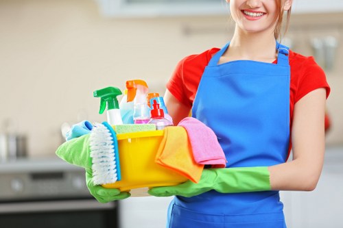 Professional rug cleaning in Harold Park for a fresh home interior