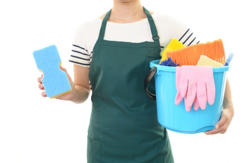 Professional sofa cleaning in Harold Park for a fresh living room