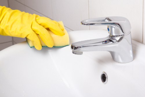 Professional couch cleaning process in Harold Park home