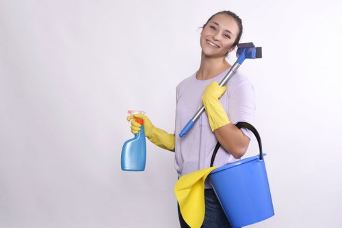 Detailed carpet cleaning process used by Harold Park Carpet Cleaners on a fabric surface