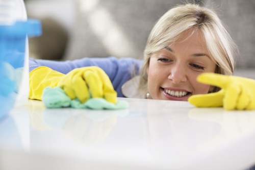 Steam cleaning carpet fibres in Harold Park home
