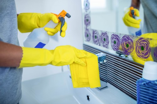 Professional deep pet stain odour removal treatment process