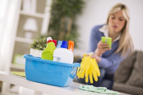 Steam cleaning curtains for fresh indoor air