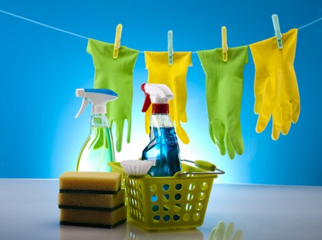 Carpet maintenance tips for Harold Park homes