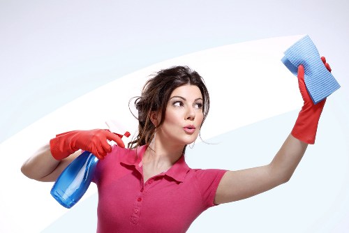 DIY pet stain cleaning often missing deep odour sources