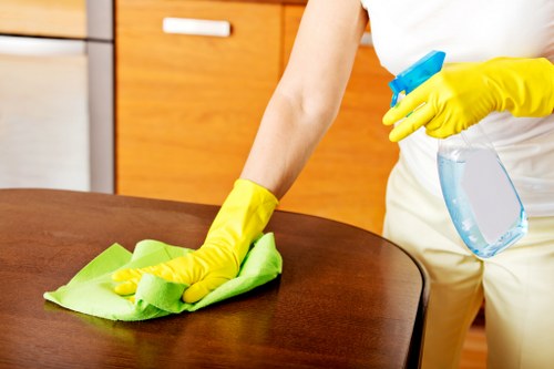 Common pet stains and odours in Harold Park homes